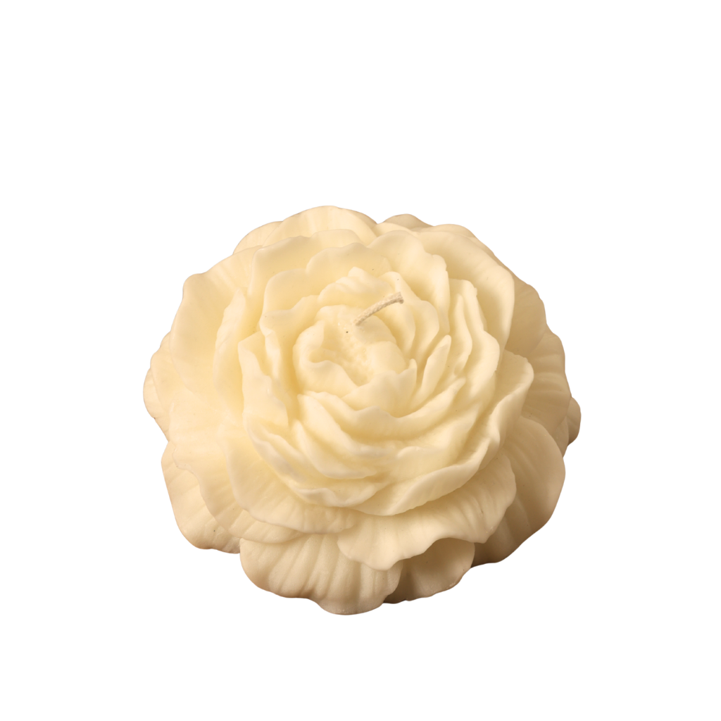 Ivory Bloom 7" x 3"
